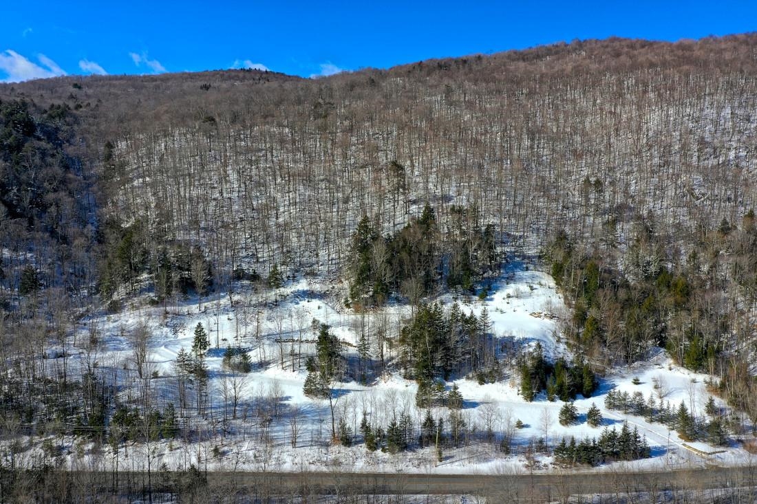Lot 2 Skye Ridge Drive Killington, VT 05751 - Photo 3 of 17 Gallery Image 3