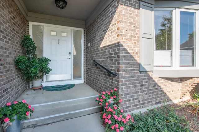 a close view of a shower in a bathroom