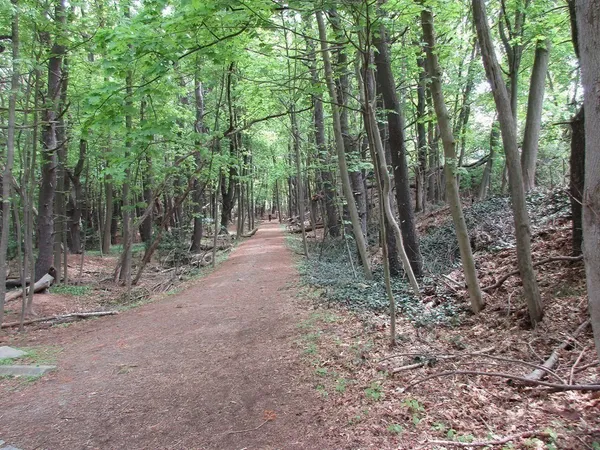 $4,750 | 178 Beethoven Avenue, Newton, MA 02468