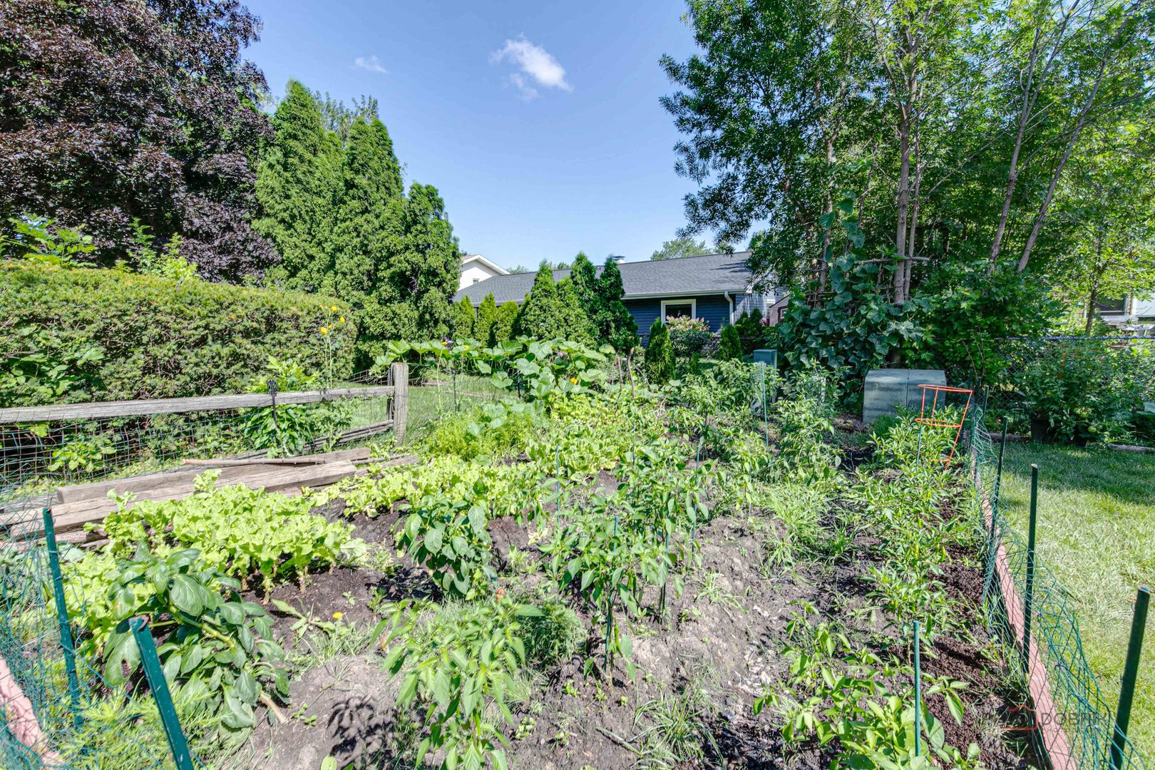 1030 Hassell Road Hoffman Estates, IL 60169 - Photo 33 of 35 a view of a garden with plants