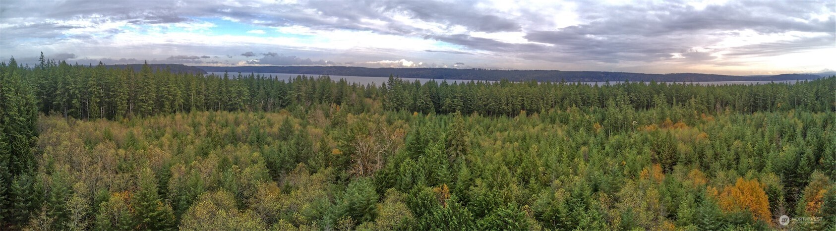 50 X Point Whitney Road Brinnon, WA 98320 - Photo 11 of 19