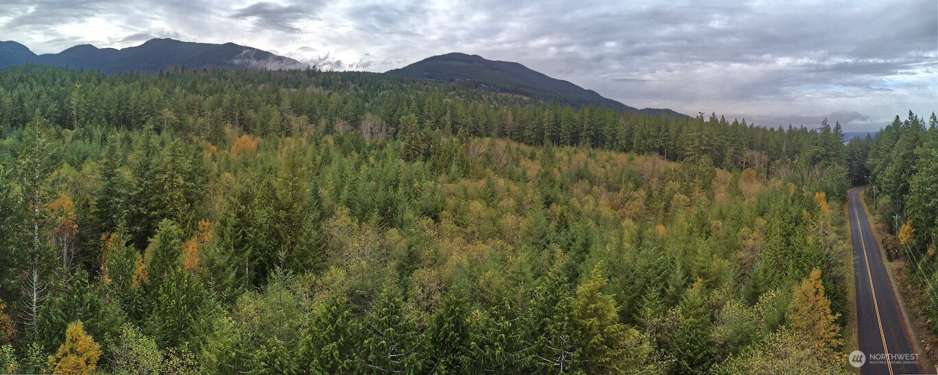 50 X Point Whitney Road Brinnon, WA 98320 - Photo 12 of 19