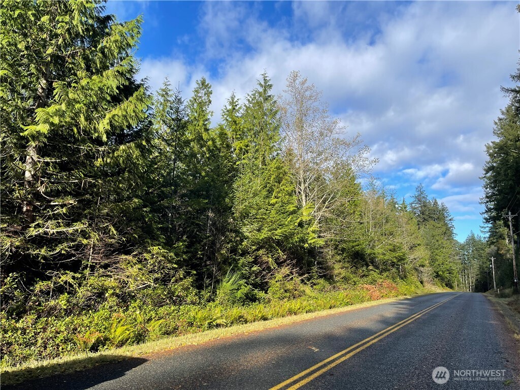 50 X Point Whitney Road Brinnon, WA 98320 - Photo 15 of 19