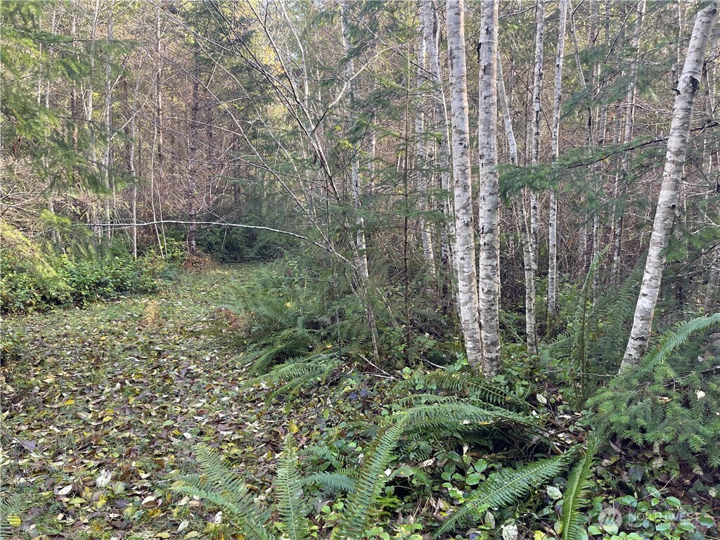 50 X Point Whitney Road Brinnon, WA 98320 - Photo 17 of 19