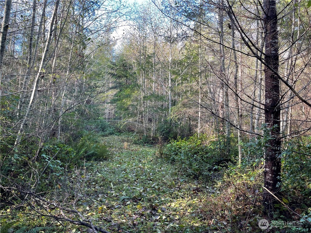 50 X Point Whitney Road Brinnon, WA 98320 - Photo 18 of 19