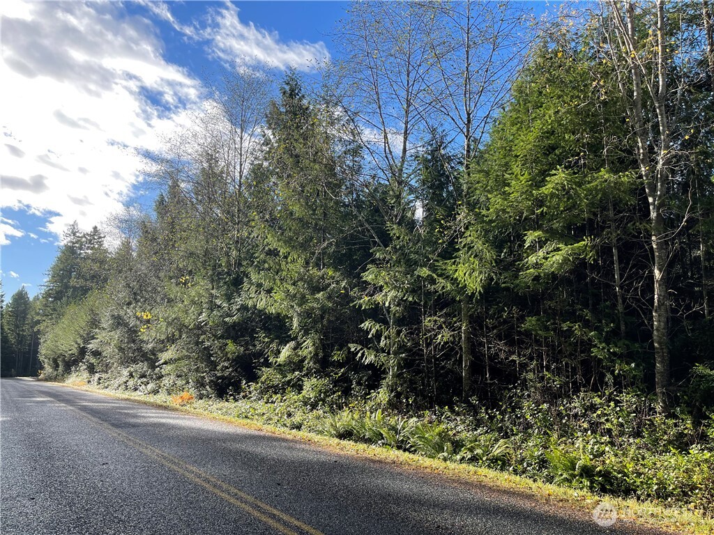 50 X Point Whitney Road Brinnon, WA 98320 - Photo 19 of 19