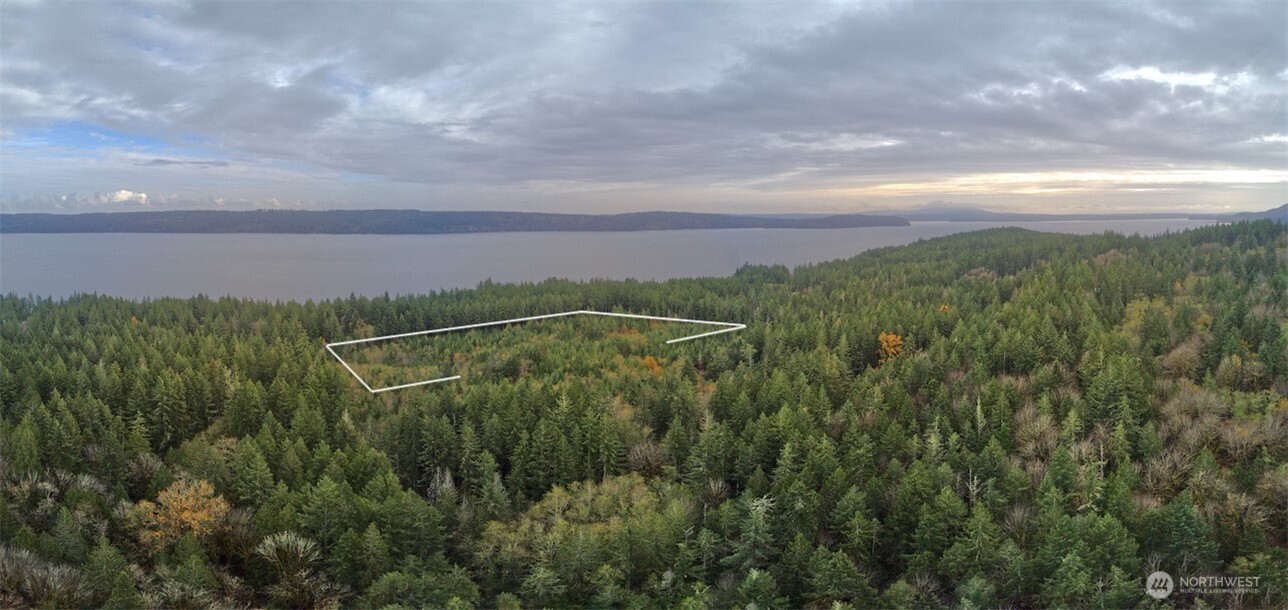 50 X Point Whitney Road Brinnon, WA 98320 - Photo 3 of 19