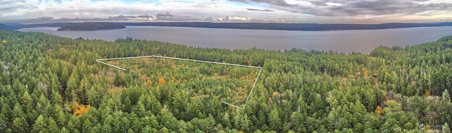 50 X Point Whitney Road Brinnon, WA 98320 - Photo 7 of 19