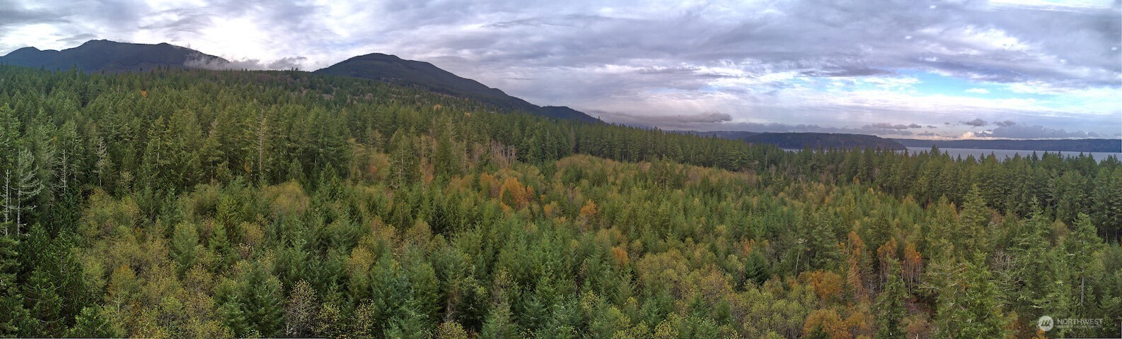 50 X Point Whitney Road Brinnon, WA 98320 - Photo 10 of 19