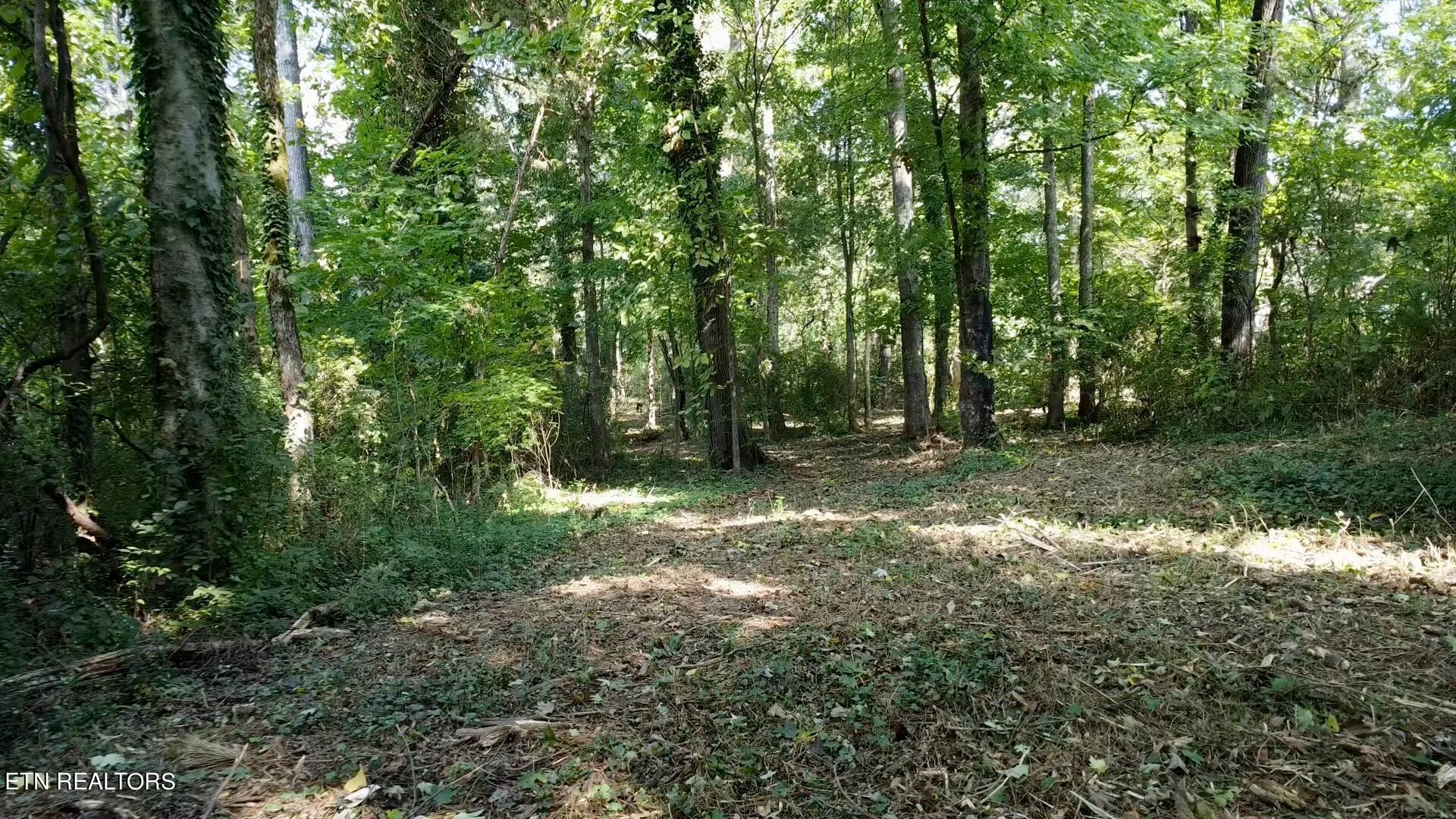 0 Timbercrest Trail Knoxville, TN 37921 - Photo 19 of 21 Frame-08-10-2024-11-51-30