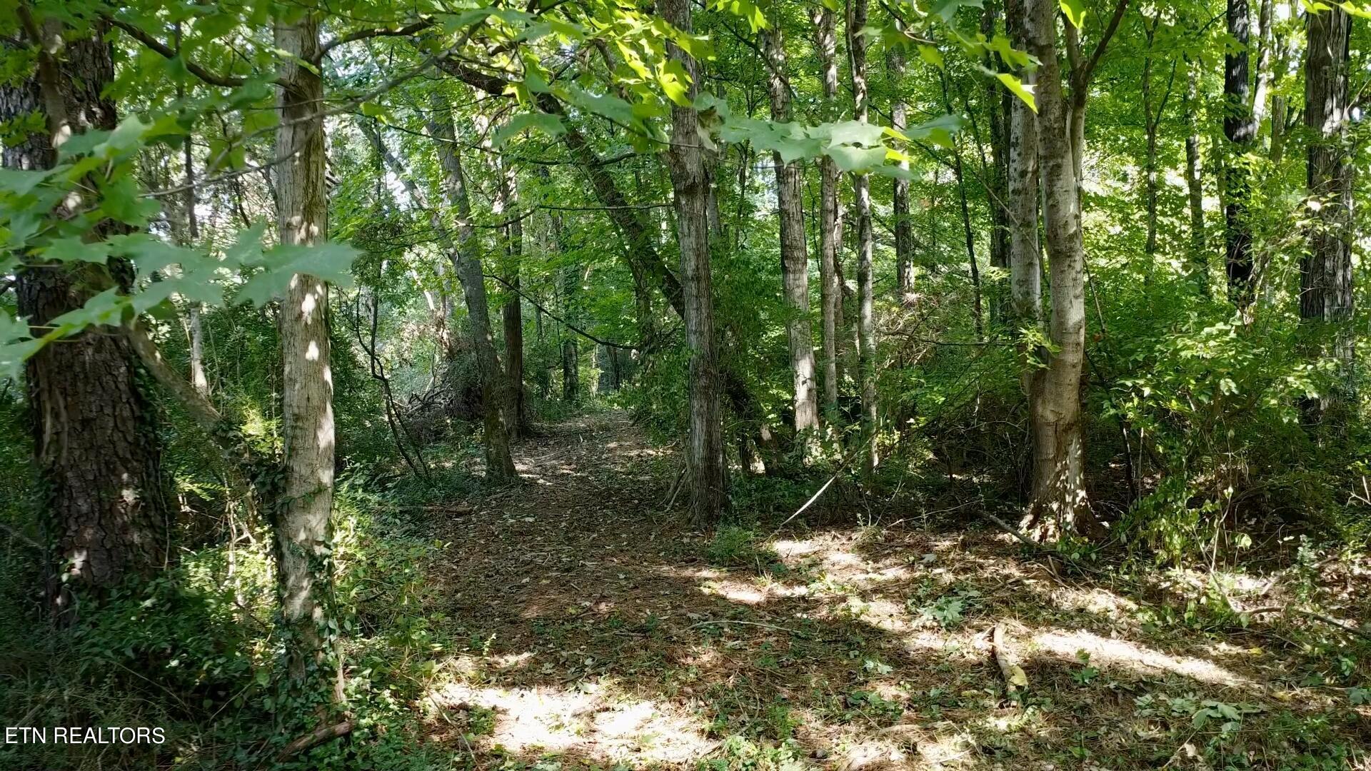 0 Timbercrest Trail Knoxville, TN 37921 - Photo 20 of 21 Frame-08-10-2024-11-50-21