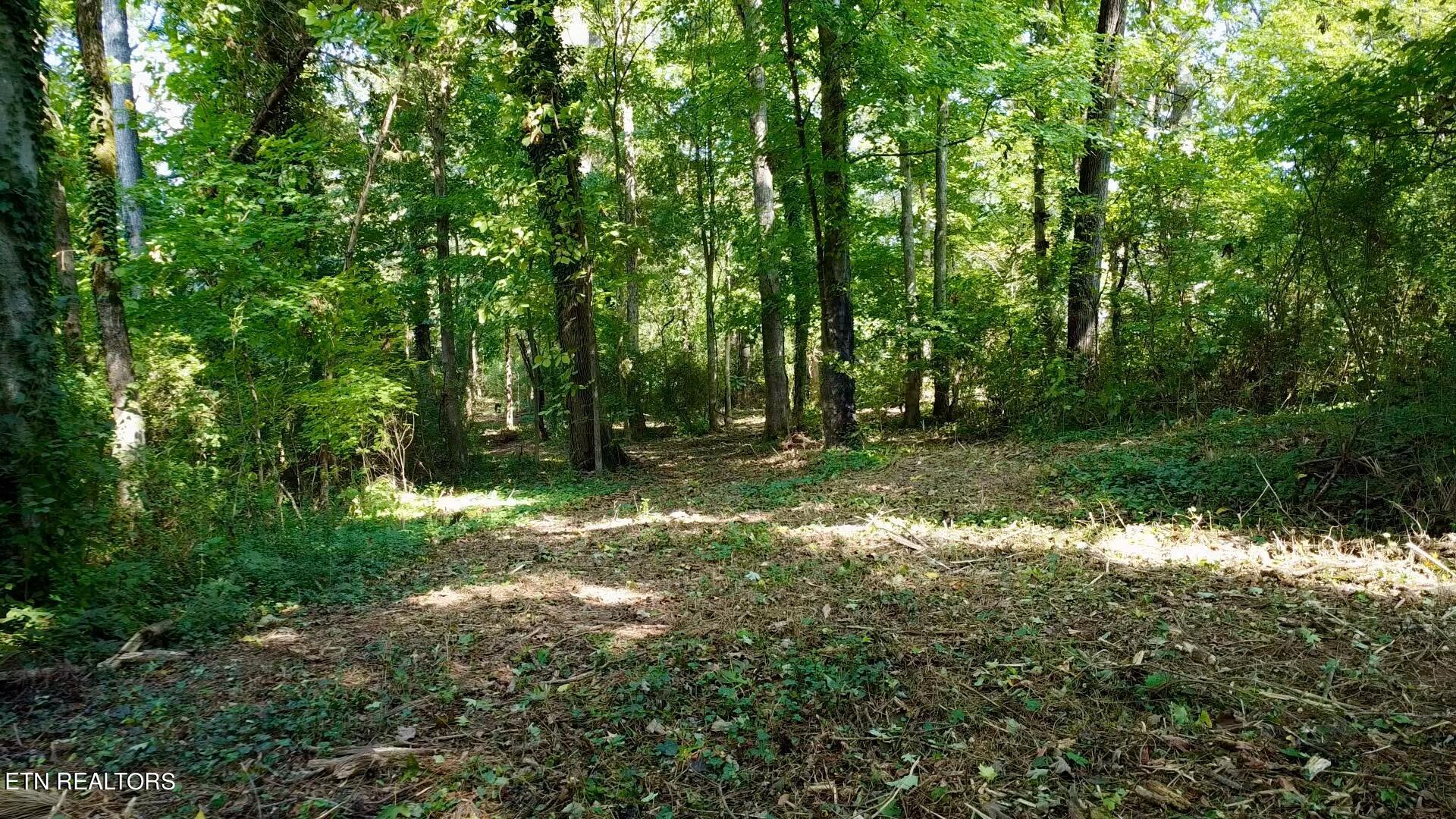 0 Timbercrest Trail Knoxville, TN 37921 - Photo 21 of 21 Frame-08-10-2024-11-48-26