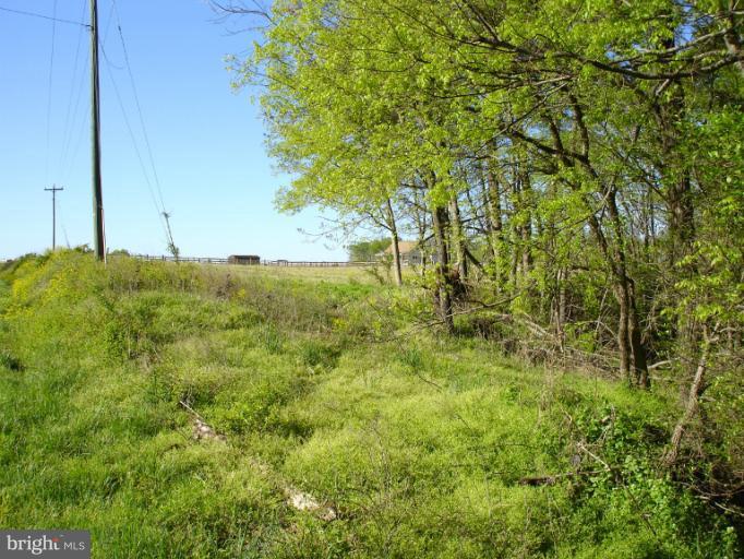 1 Stevensburg Road Culpeper, VA 22701 - Photo 1 of 11 Looking back to the lot from the bridge