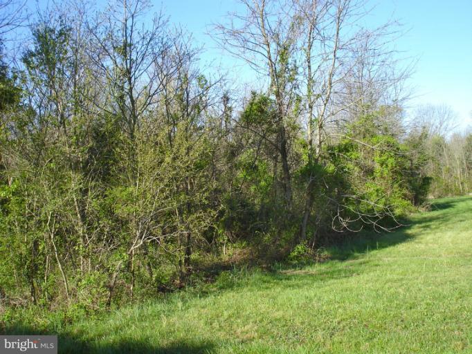 1 Stevensburg Road Culpeper, VA 22701 - Photo 2 of 11 Boundary line on right side