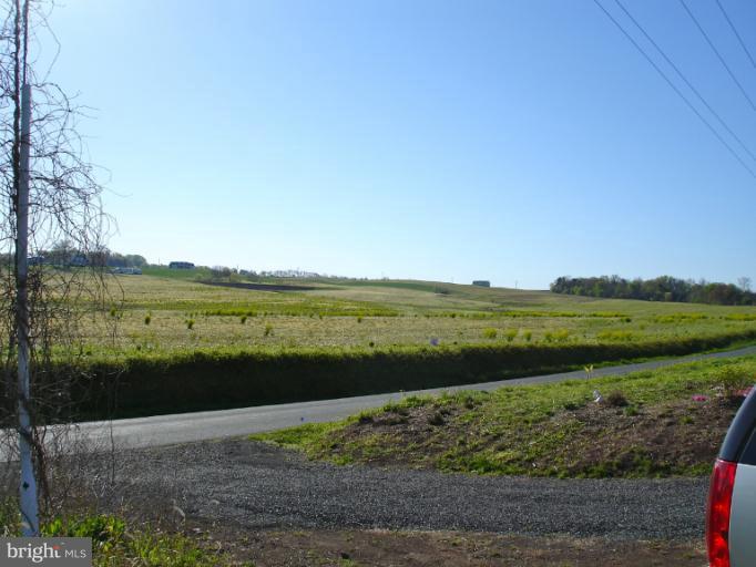 1 Stevensburg Road Culpeper, VA 22701 - Photo 4 of 11 Driveway from Rt. 663