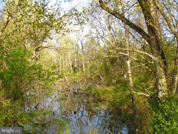 1 Stevensburg Road Culpeper, VA 22701 - Photo 6 of 11 View of Mountain Run stream