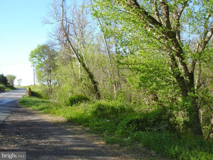 1 Stevensburg Road Culpeper, VA 22701 - Photo 7 of 11 Looking back up Rt. 663