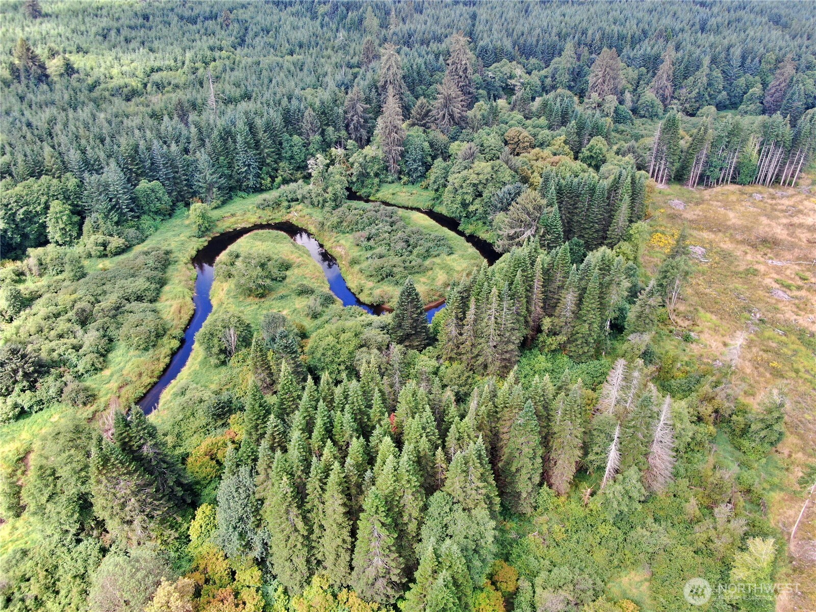 -nka North River Road Cosmopolis, WA 98537 - Photo 16 of 16 Gallery Image 16