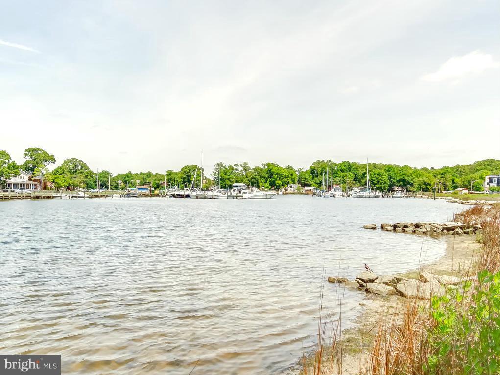1919 Potomac Road Edgewater, MD 21037 - Photo 21 of 25 Community Beaches and Swim Areas