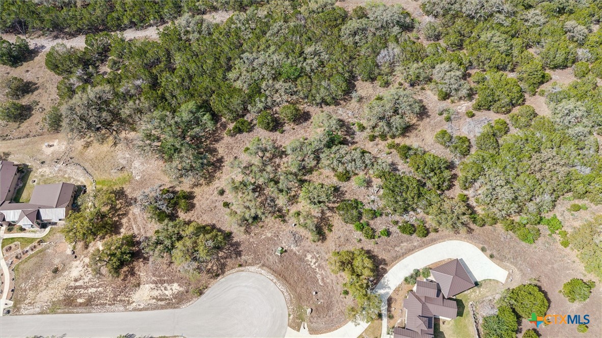 2330 Campestres Spring Branch, TX 78070 - Photo 3 of 13
