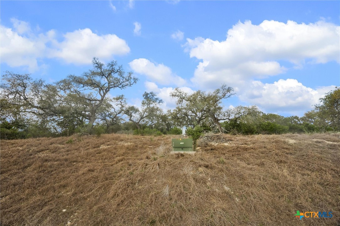 2330 Campestres Spring Branch, TX 78070 - Photo 7 of 13
