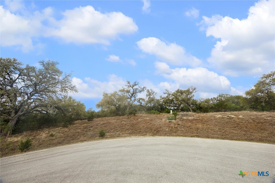 2330 Campestres Spring Branch, TX 78070 - Photo 9 of 13