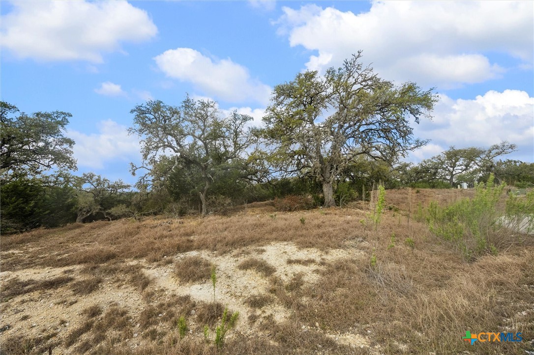 2330 Campestres Spring Branch, TX 78070 - Photo 10 of 13