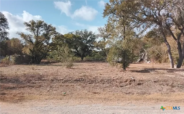 a view of dirt yard with a tree