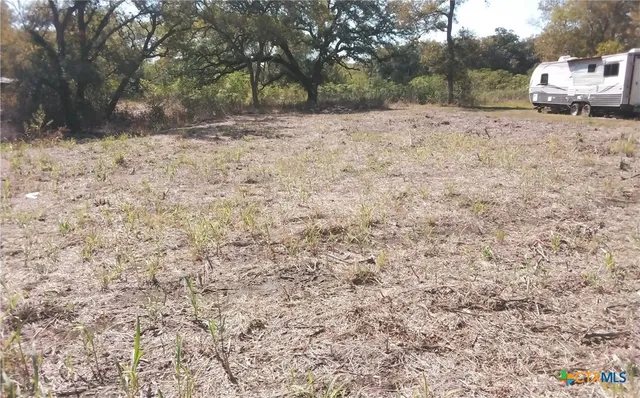 a view of dirt yard with a tree