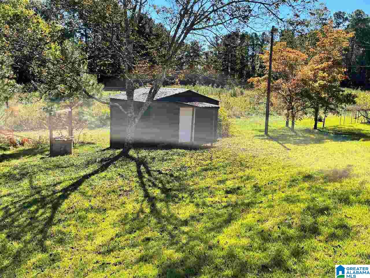 223 Blair Road Ashland, AL 36251 - Photo 13 of 16