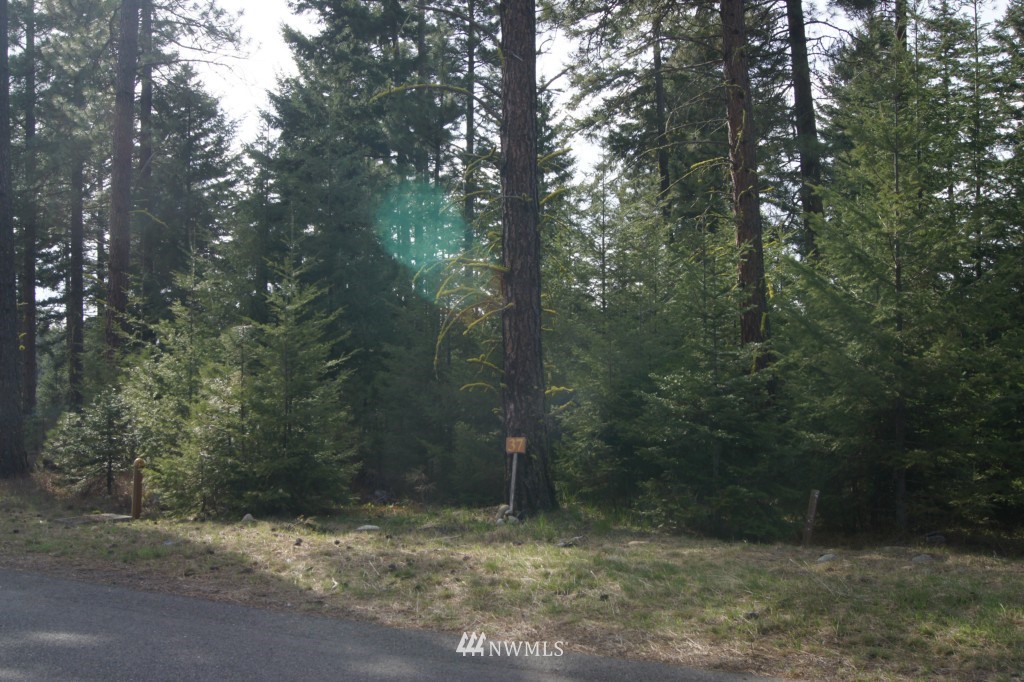 501 Maple Leaf Loop Cle Elum, WA 98922 - Photo 3 of 9 a view of a forest