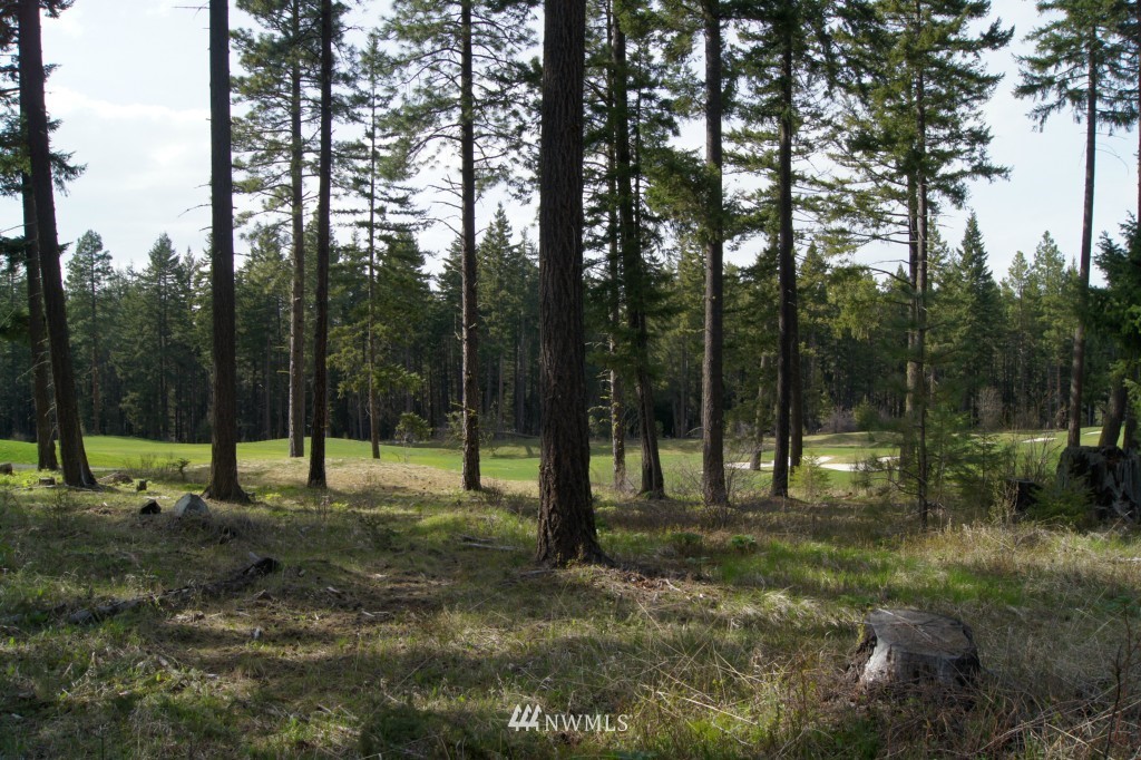 501 Maple Leaf Loop Cle Elum, WA 98922 - Photo 4 of 9 a view of park