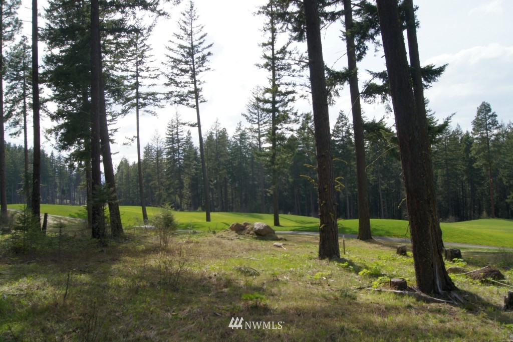 501 Maple Leaf Loop Cle Elum, WA 98922 - Photo 5 of 9 a view of park