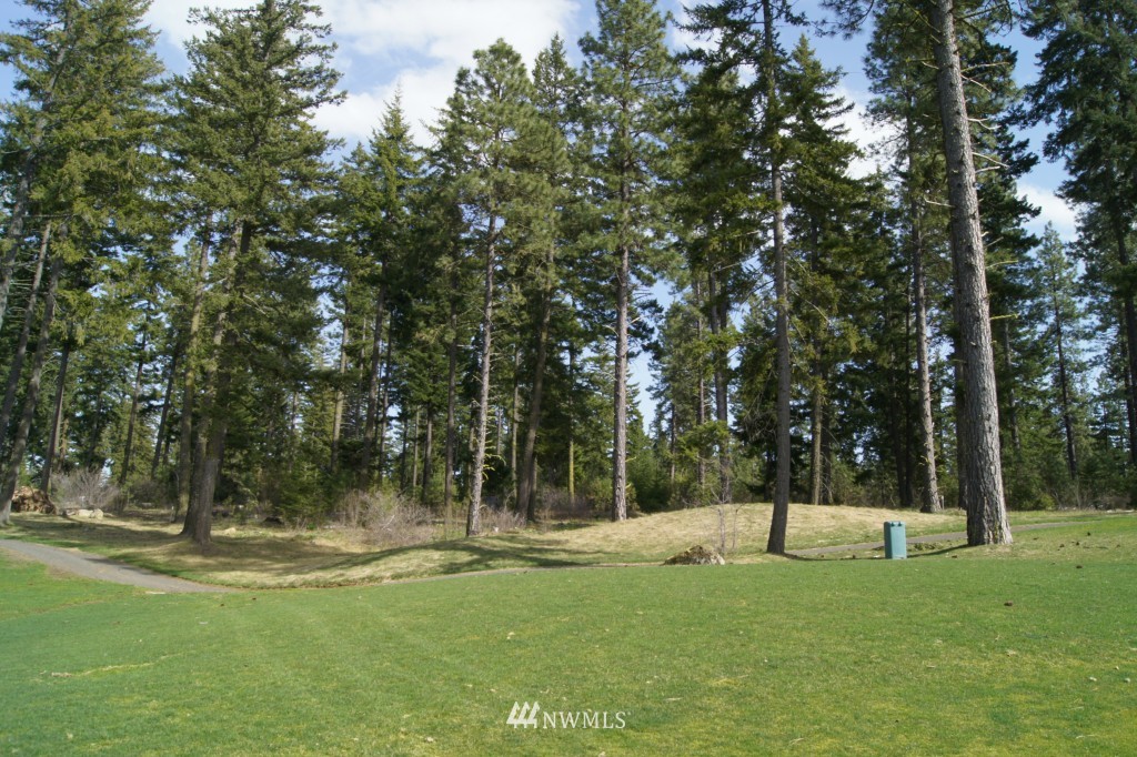 501 Maple Leaf Loop Cle Elum, WA 98922 - Photo 7 of 9 a view of a park with large trees