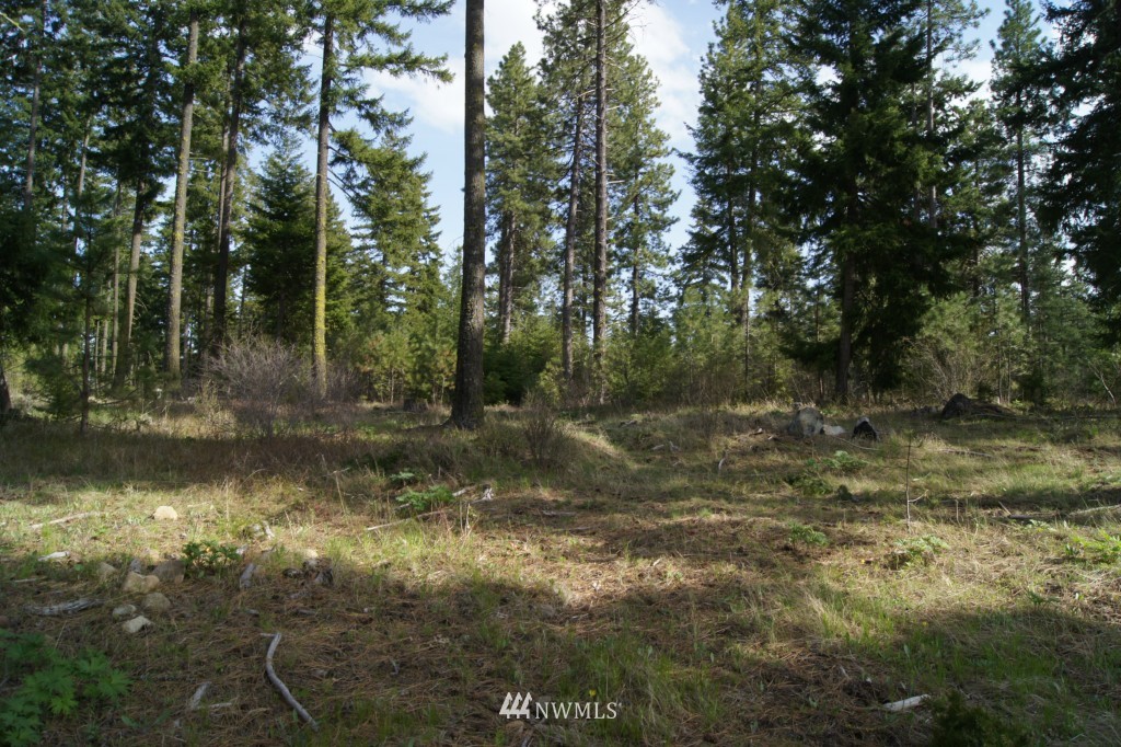 501 Maple Leaf Loop Cle Elum, WA 98922 - Photo 8 of 9 a view of a lake with trees