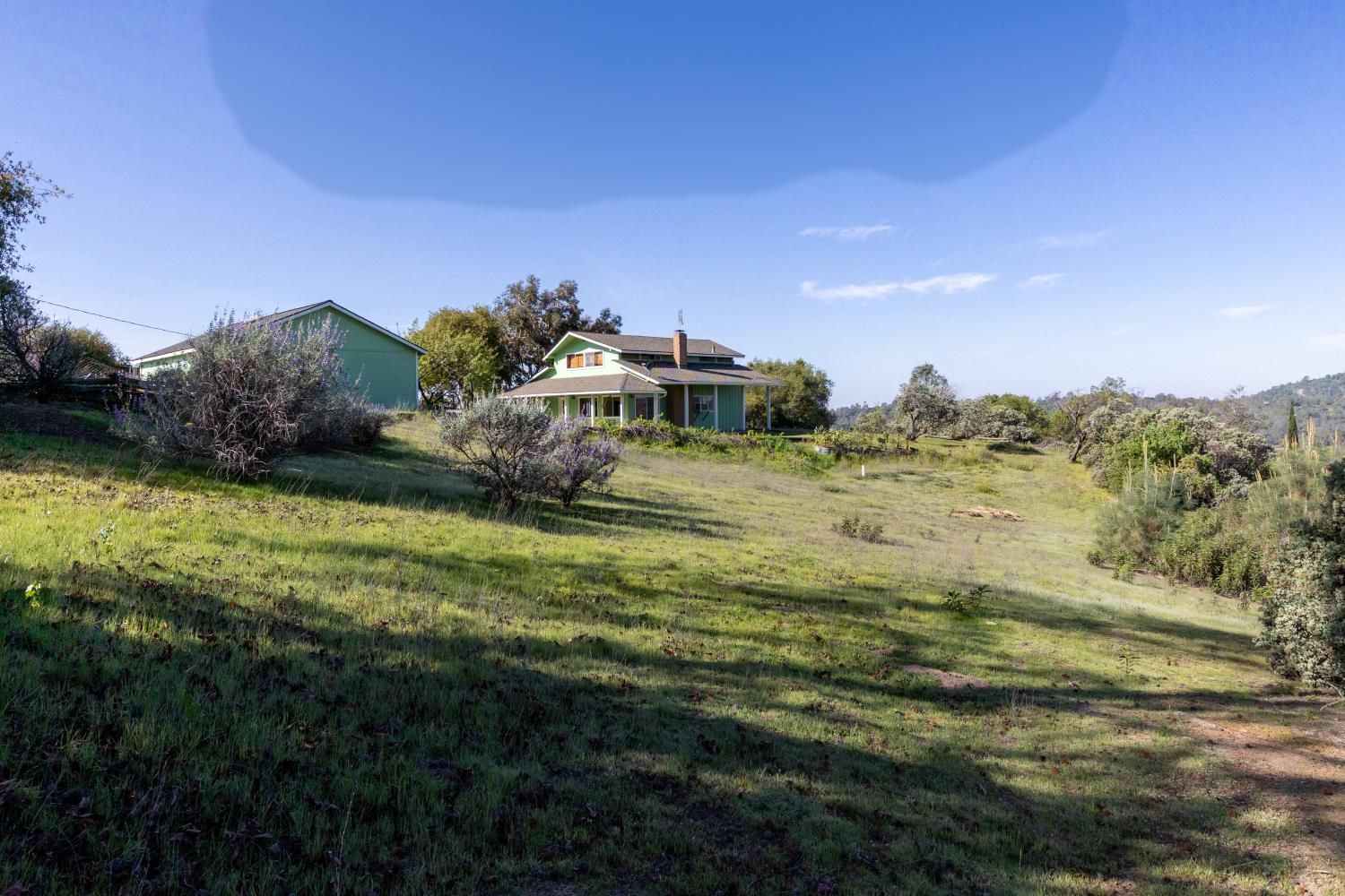 34107 Memory Lane Coarsegold, CA 93614 - Photo 35 of 46 a view of a big yard with a large tree
