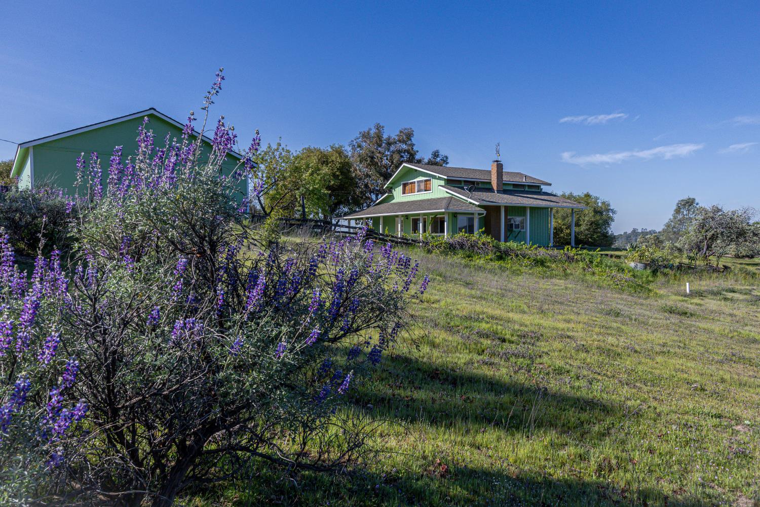 34107 Memory Lane Coarsegold, CA 93614 - Photo 36 of 46 a view of a house with a yard