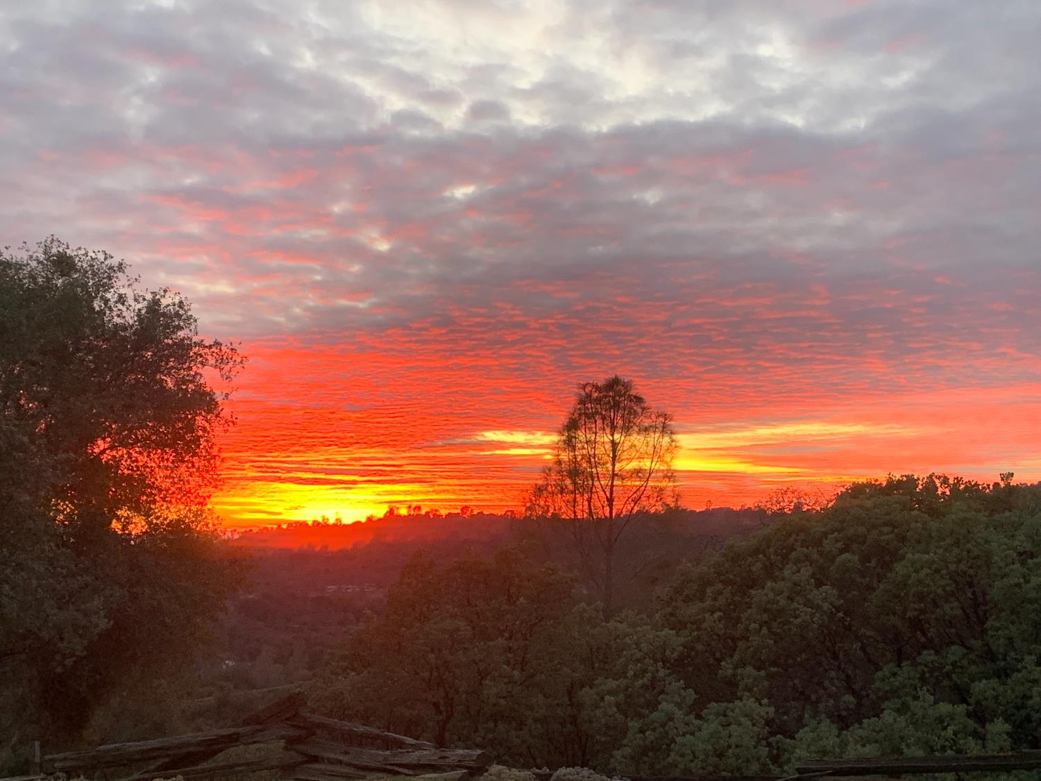 34107 Memory Lane Coarsegold, CA 93614 - Photo 46 of 46 a view of sunset