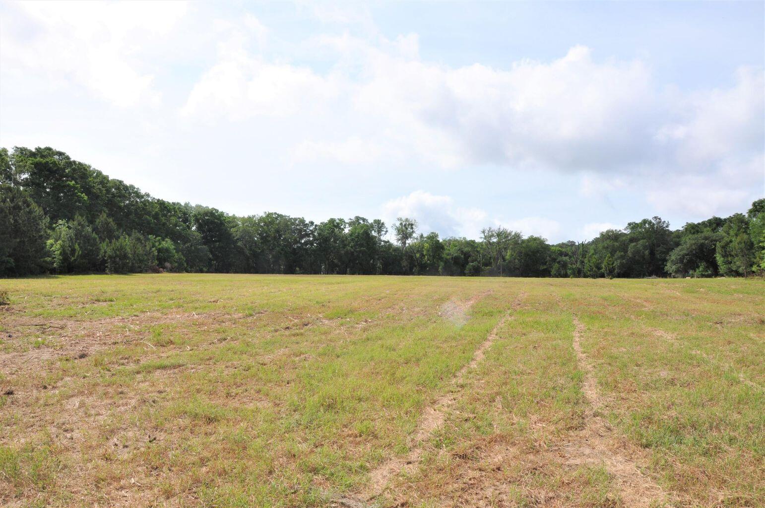 0 Ranch Road Wadmalaw Island, SC 29487 - Photo 7 of 11 20220503174733969978000000-o