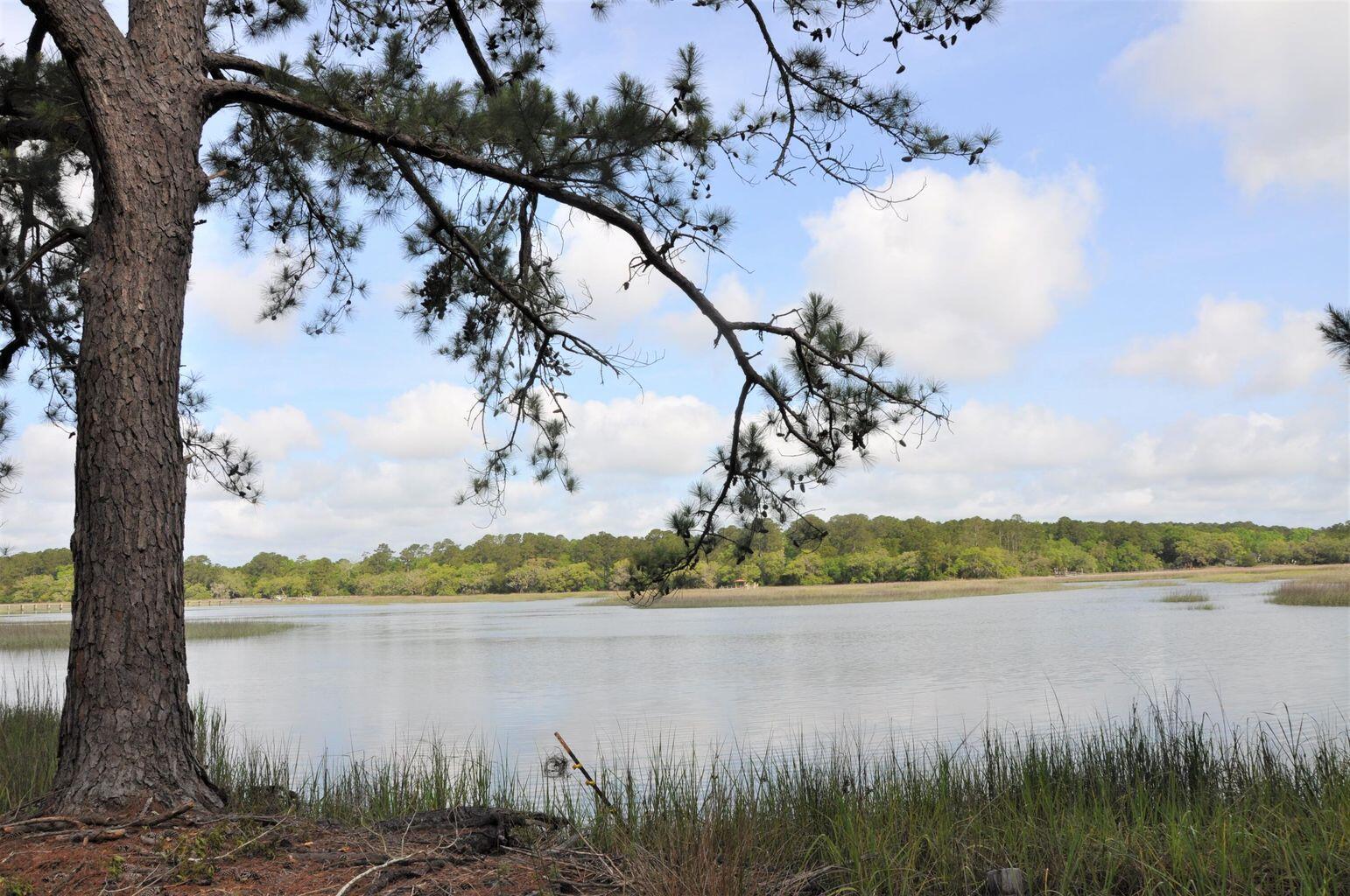 0 Ranch Road Wadmalaw Island, SC 29487 - Photo 8 of 11 20220503174705348747000000-o