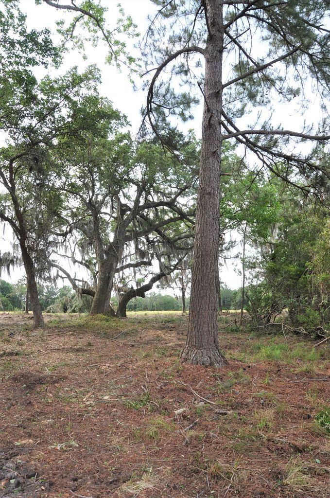 0 Ranch Road Wadmalaw Island, SC 29487 - Photo 9 of 11 20220503174717279031000000-o