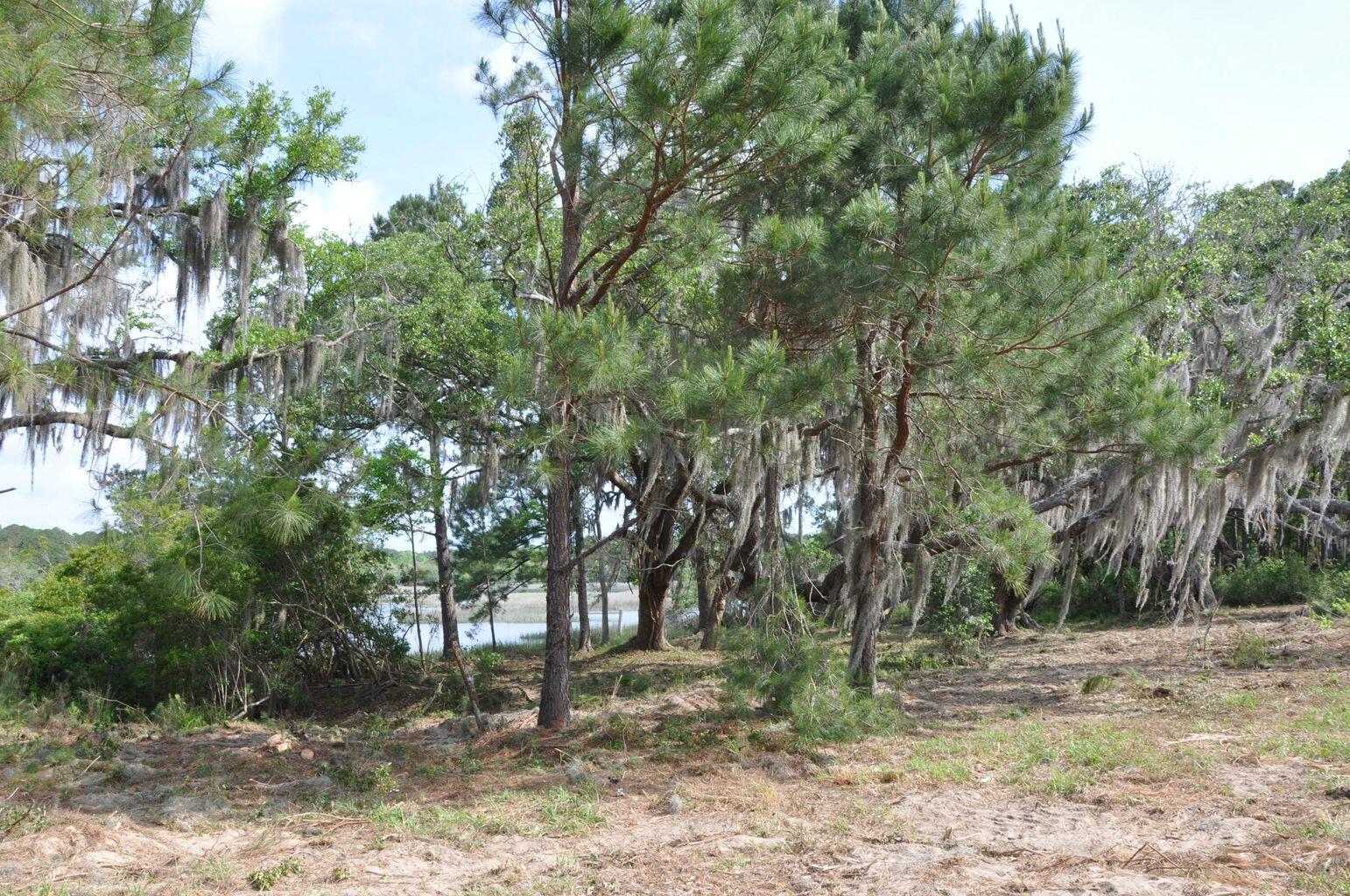 0 Ranch Road Wadmalaw Island, SC 29487 - Photo 10 of 11 20220503174726671389000000-o