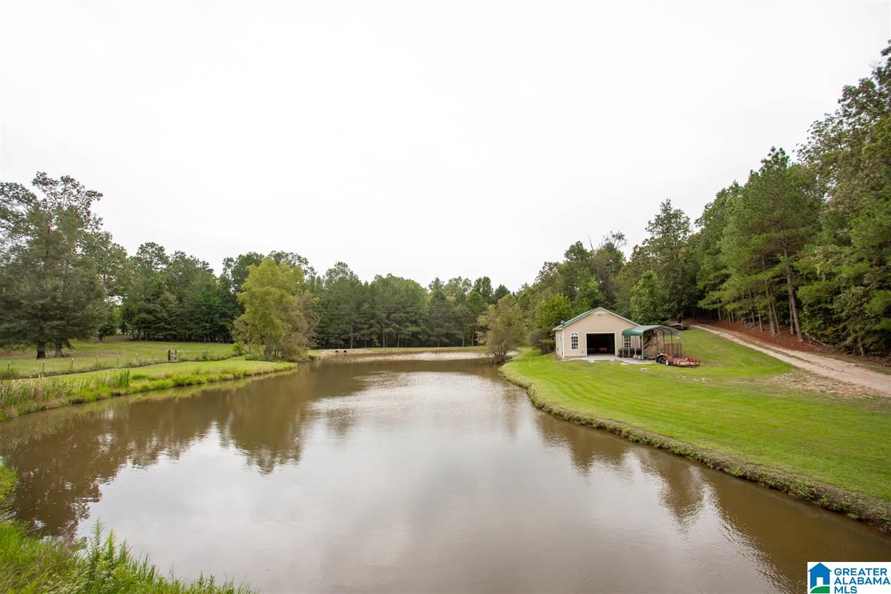 310 Logging Road Ohatchee, AL 36271 - Photo 41 of 50