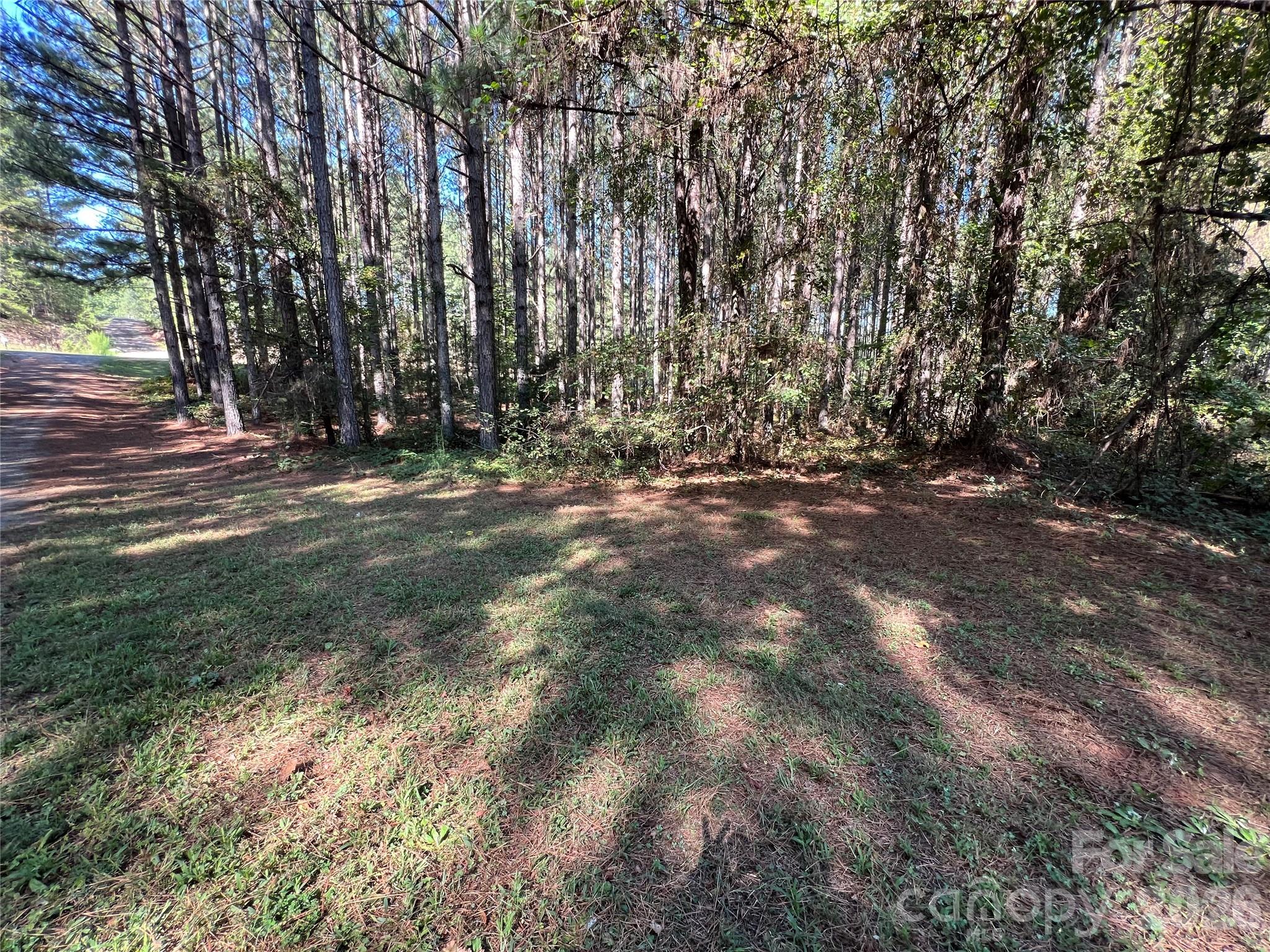 651 Dills Road Rutherfordton, NC 28139 - Photo 34 of 38 Gallery Image 34