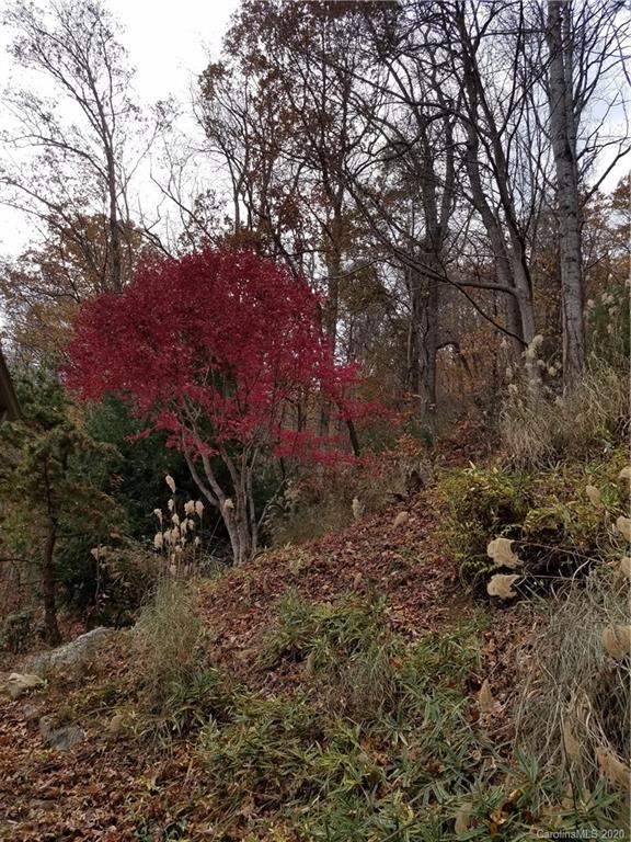 20 Maple Forest Road Fairview, NC 28730 - Photo 43 of 48 Gallery Image 43