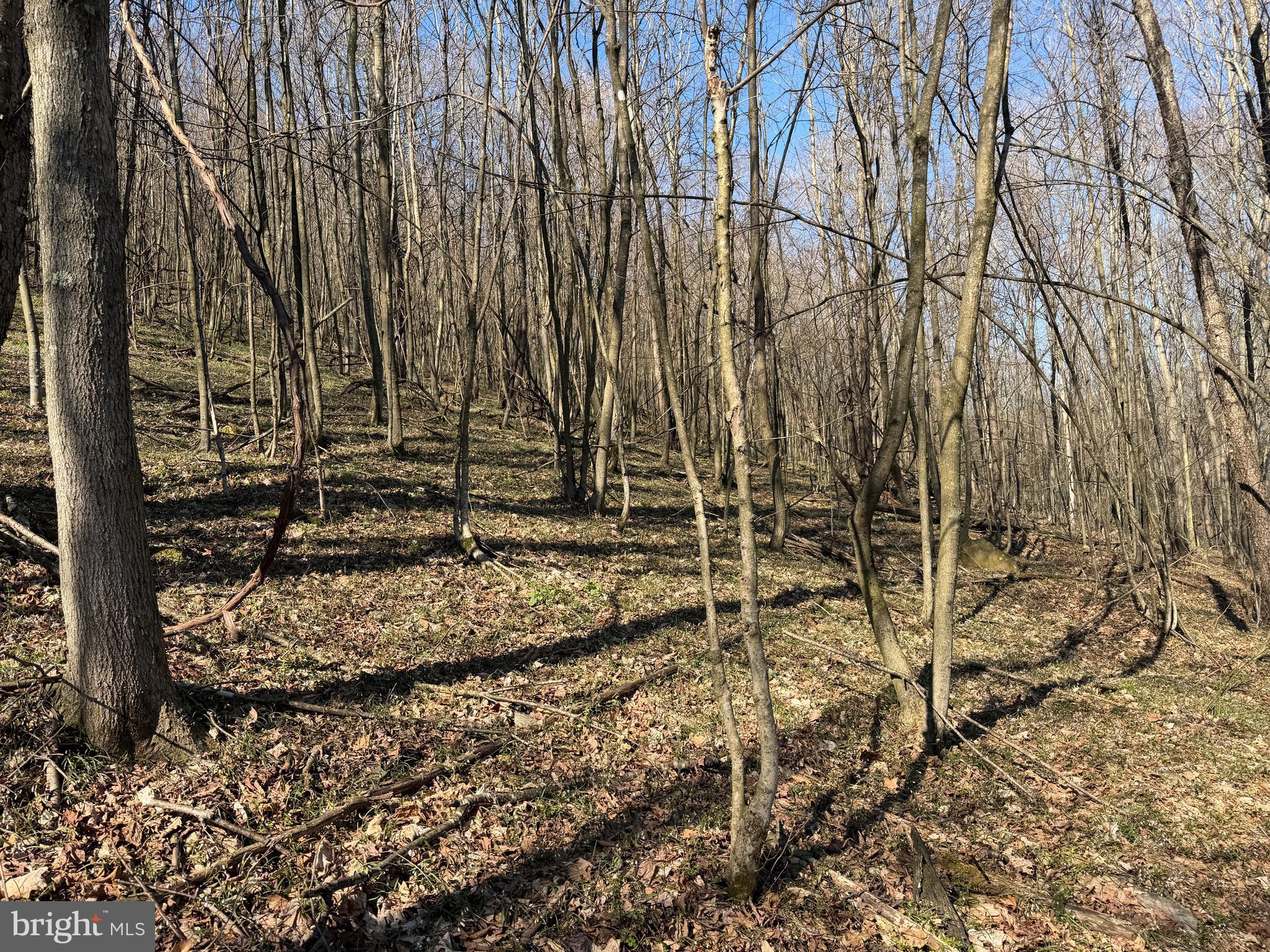 129-acres Black Hollow Road Schellsburg, PA 15559 - Photo 38 of 72 a view of outdoor space