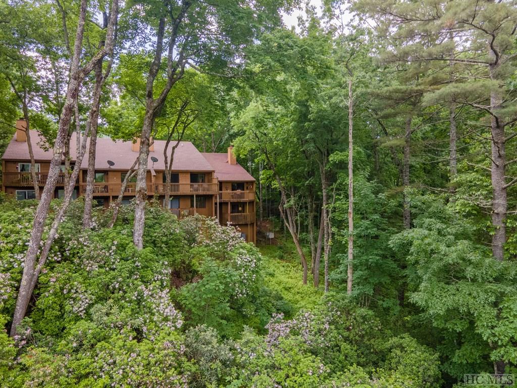 122-un45 Emerald Ridge Road, Unit 45 Sapphire, NC 28774 - Photo 23 of 36 Gallery Image 23