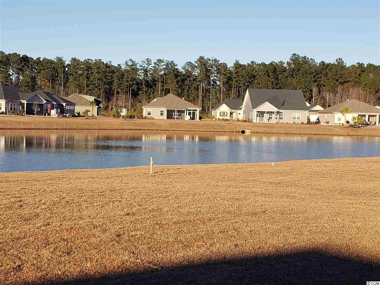 522 Carrick Loop Longs, SC 29568 - Photo 2 of 36 Gallery Image 2