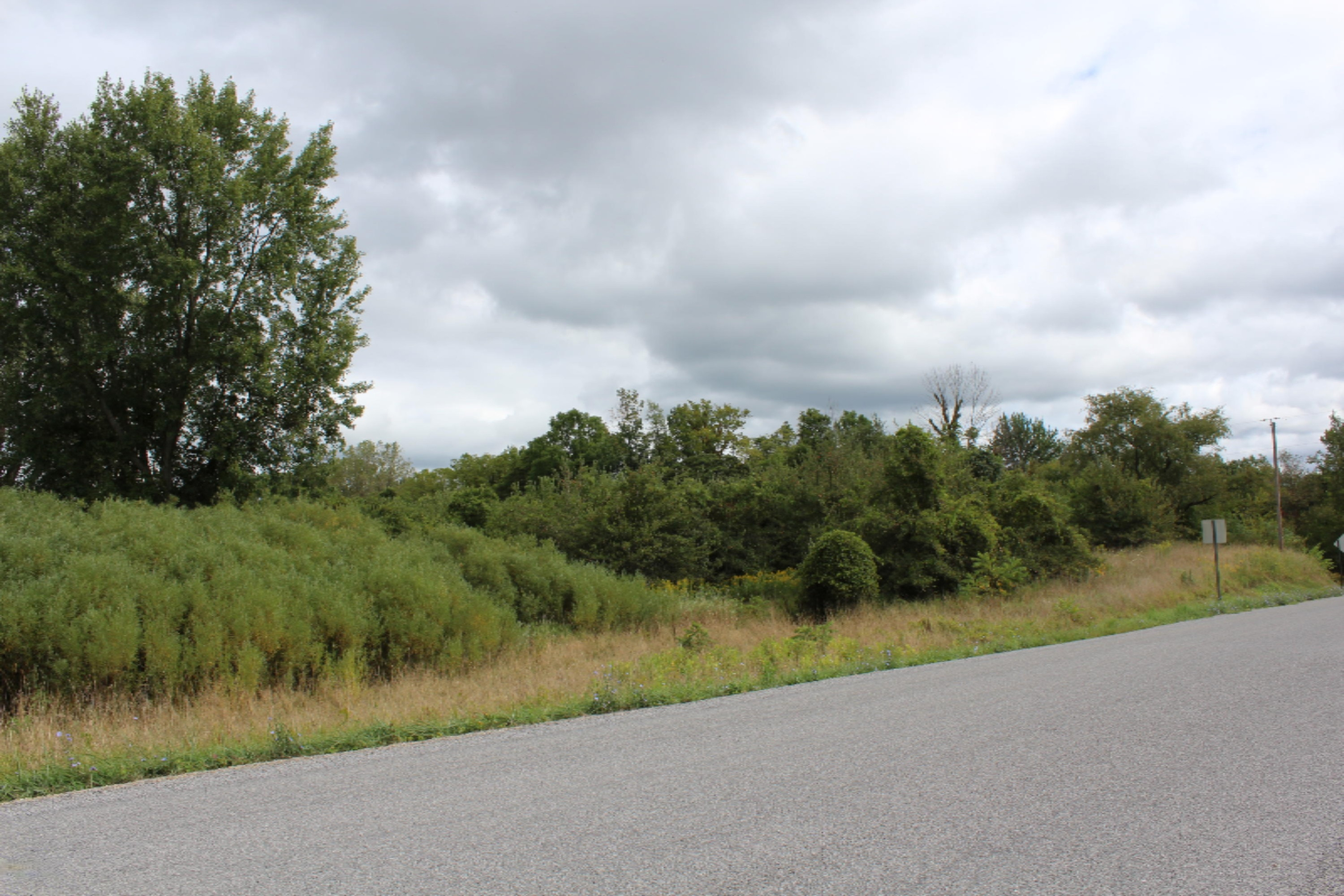 0 Warren Woods Road Galien, MI 49113 - Photo 6 of 9 IMG_0762