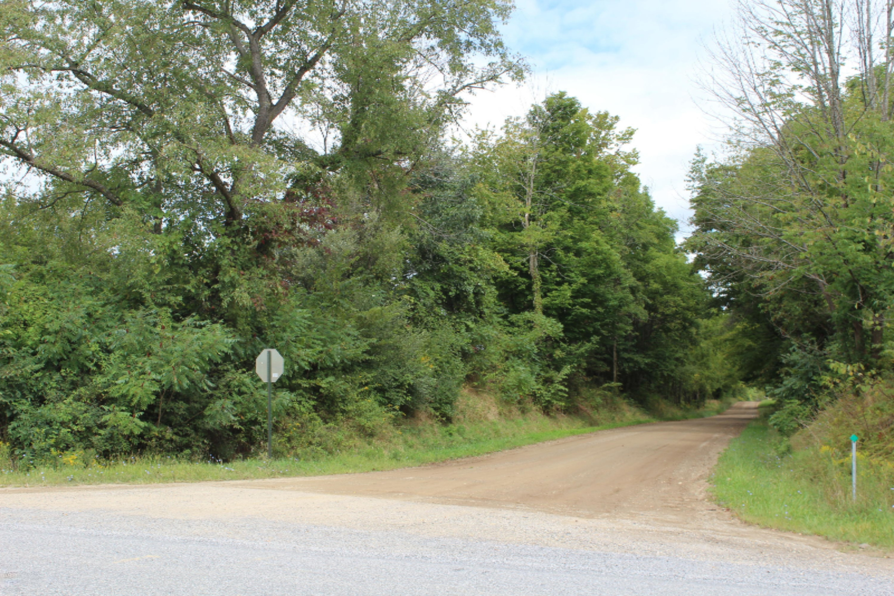 0 Warren Woods Road Galien, MI 49113 - Photo 9 of 9 IMG_0765